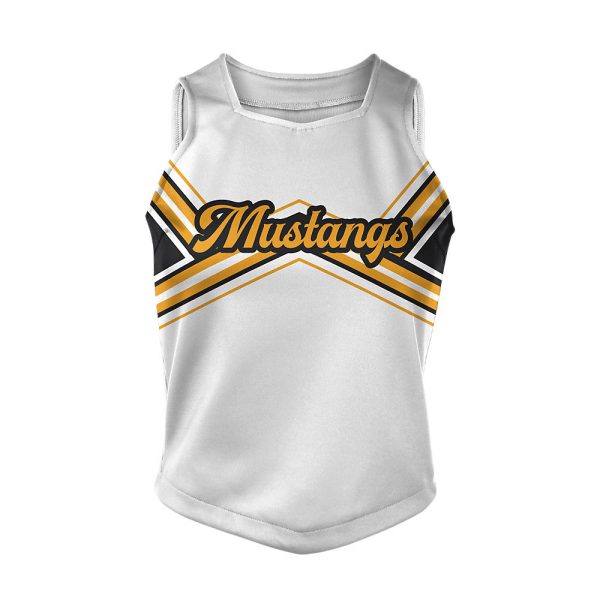 White and Yellow Cheer Modified Shell