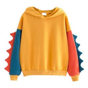 Sweatshirt Hoodie