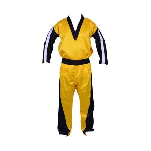 kickboxing gear