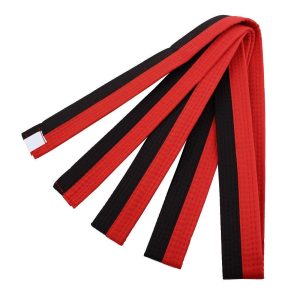 karate belt order
