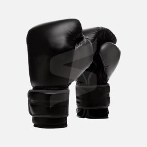 Boxing gloves for training